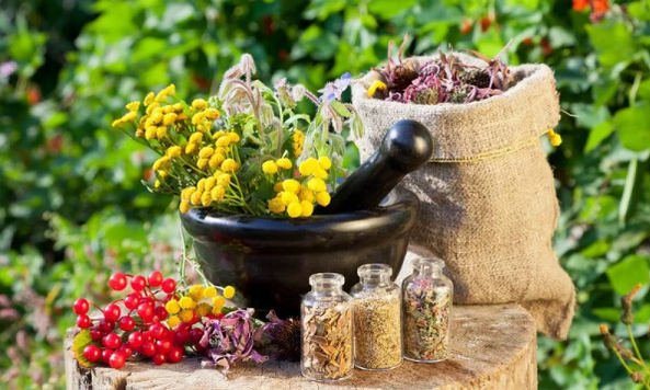 الأعشاب من الديدان