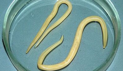 كيفية إجراء اختبارات لاتصالات الصدر بشكل صحيح