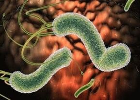 الفيروسات والبكتيريا